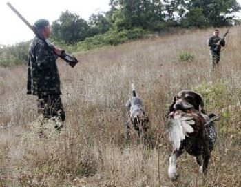 На Закарпатье открытие охотничьего сезона было отсрочено