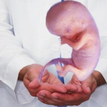 Гинеколог в США убивал беременных, а их эмбрионы хранил в холодильнике