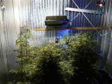 Полицейские в Чопе изъяли наркотиков на сумму около 1 млн гривен