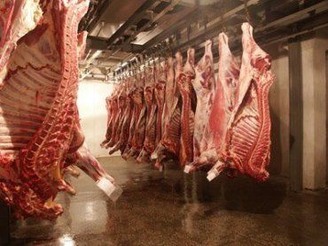 ЕС проведет инспекцию украинских производителей говядины