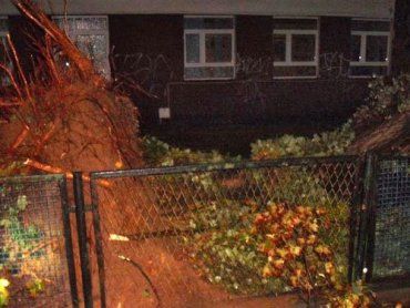 В Польше ураганный ветер срывал с домов крыши, валил деревья