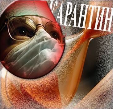 На Закарпатье уже 3096 больных острой респираторной вирусной инфекцией