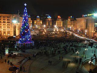 Главну новогоднюю елку Украины украсят игрушечными тигрятами