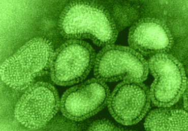 В Латвии зарегистрировано 52 случая заболевания гриппом A (H1N1)