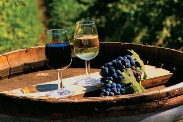 КМУ инициирует создание Государственной инспекции по виноделию и виноградарству