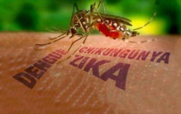 У згаданих країнах доцільно використовувати заходи захисту від комарів
