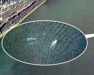 Google Earth обнаружил лохнесское чудовище