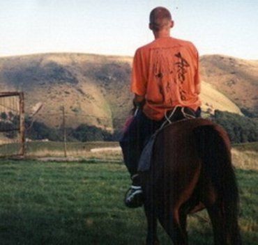 Преступник из Хуста ускакал на краденой лошади в Винницкую область
