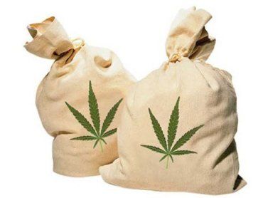 у гаражі фізкультурника знайшли поліетиленовий пакунок із 50 гр марихуани
