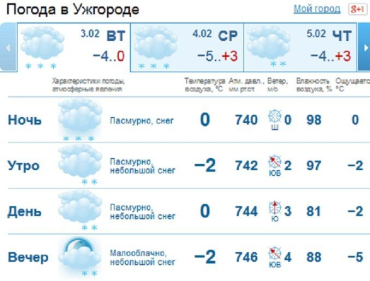 Весь день в Ужгороде будет облачным, с утра и до позднего вечера будет идти снег