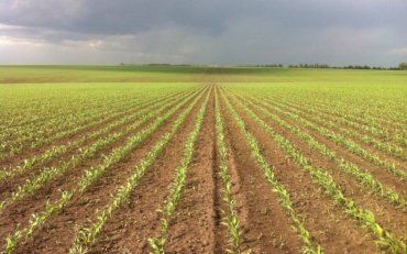 Аграрний сектор України – найпотужніший потенціал економіки держави