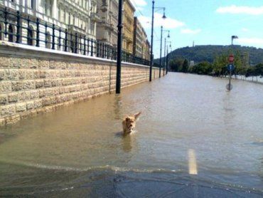 В Будапеште большая вода затопила нижнюю часть города