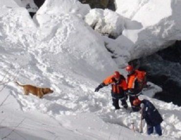 Закарпатские спасатели ищут туриста, заблудившегося в районе долины Драгобрат