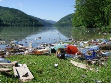 Тонны пластикового мусора накопились на крупнейшем водохранилище Закарпатья