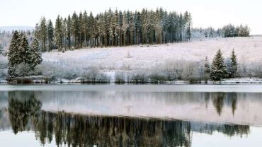 В Україні очікуються сніг, ожеледь і нічні морози.