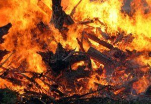 В Виноградовском районе произошел пожар жилого дома