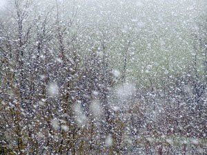 В среду, 18 февраля, на Украину ожидает небольшой снег.
