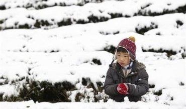 Низька температура та холод забрали життя 57 чоловікам Тайваню