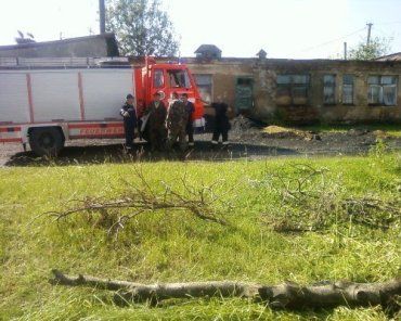 В Закарпатье ветром поломало крыши, деревья и электростолбы