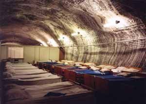 В Солотвино хотят строить подземные аллергологические больницы