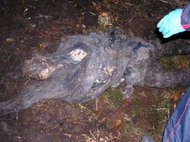 Ивано-Франковские студенты жестоко расправились с женщиной и закопали в лесу