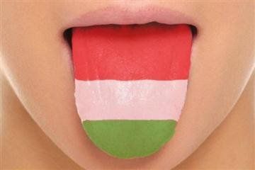Угорська мова з’явилася у програмі вивчення усіх мовних шкіл Ужгорода і Мукачева