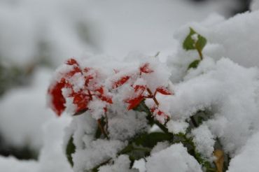 В Украину ворвалась зима: дороги припорошит снегом и скует гололед