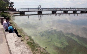 Смертельно небезпечна риба з'явилася в українській річці