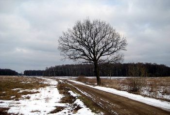 В Украине с третьего декабря ожидается повышение температуры на 4-10°