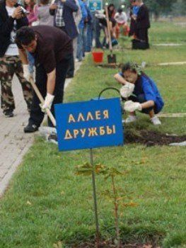 Закарпатцы помогали харьковским чиновникам сажать деревья