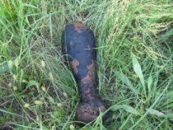 В Великоберезнянском районе местные жители нашли минометную мину