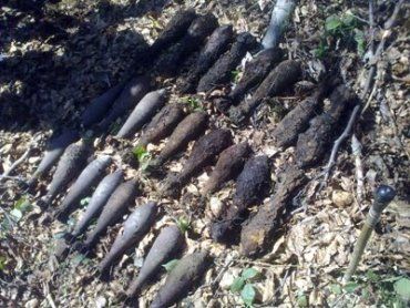В Воловецком районе нашли 46 минометных мин