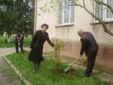 В Ужгородській спеціальній школі-інтернаті висадили дерева