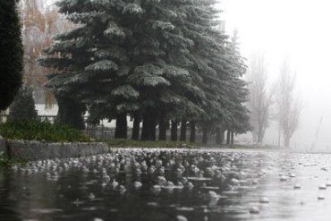 В Читый четверг украинскую землю оросит небольшой дождик