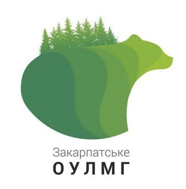 Офіційна відповідь Закарпатського ОУЛМГ щодо рубки на Березнянщині