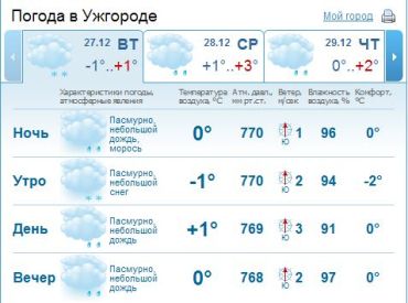 В Ужгороде на протяжении дня ожидаются дождь и снег