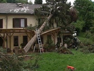 Жителей пригородов Вены изрядно напугал торнадо