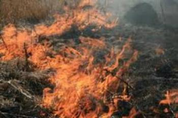 С наступлением весны жители Закарпатья активно взялись за сжигание сухотравья