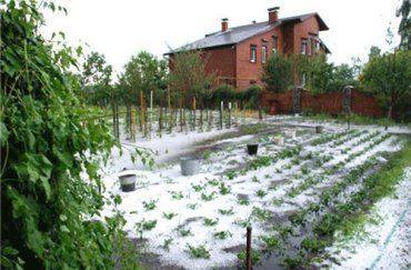 В районе Вышгорода на один из дачных поселков выпал снег