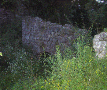 Королевская стоянка - уникальный археологический памятник на Закарпатье
