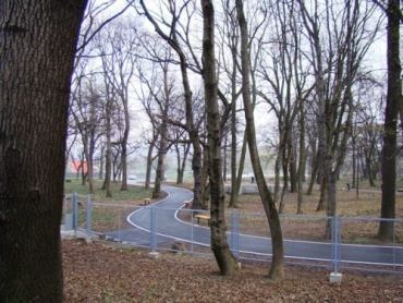 В ужгородских парках запретят ездить на автомобилях