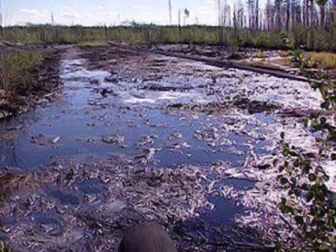 Ужанский национальный парк загрязнен дизельным топливом