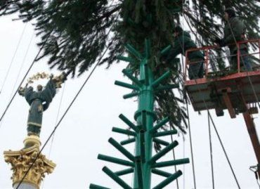 На Майдане орда милиции следит за установкой новогодней елки