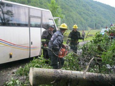 Спасатели освободили автодорогу от поваленных деревьев