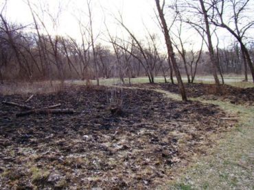 В Ужгороде от Боздошского парка остался только пепел и патыки