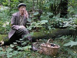 Дедушка-грибник из Ужгорода заблудился в Великоберезнянском лесу