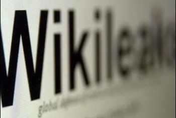 WikiLeaks рассекретил план реформ в Украине