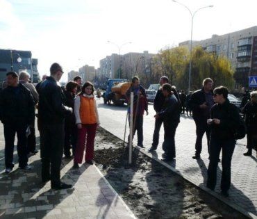 В Ужгороде три политика садят аллею сакур на ул.Легоцкого