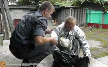 В Ужгородском районе спасатели снова боролись с шершнями