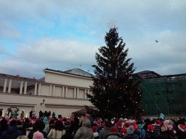 После парада Николайчиков в Ужгороде торжественно зажгли новогоднюю елку